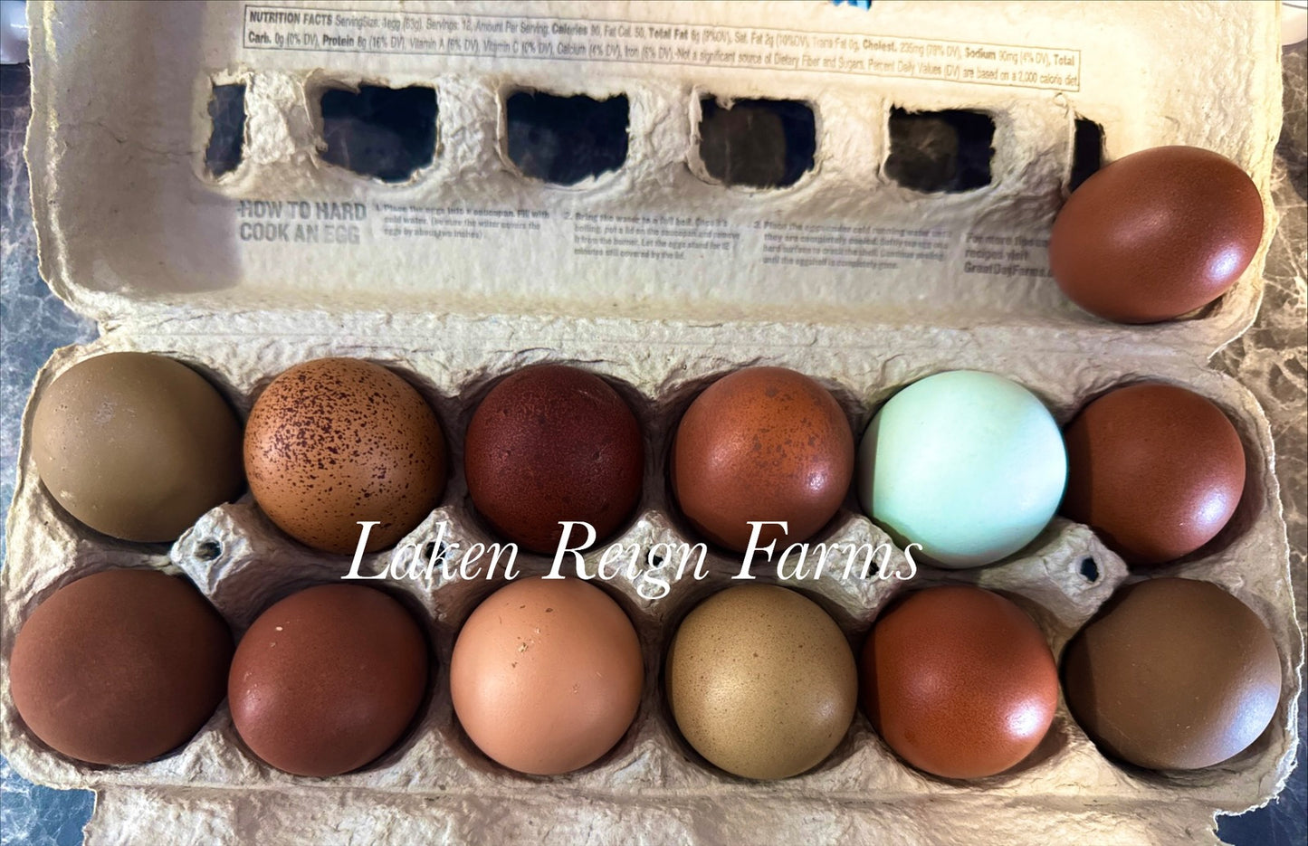 Blooms & Speckles Rainbow Hatching Eggs chance for Fibro